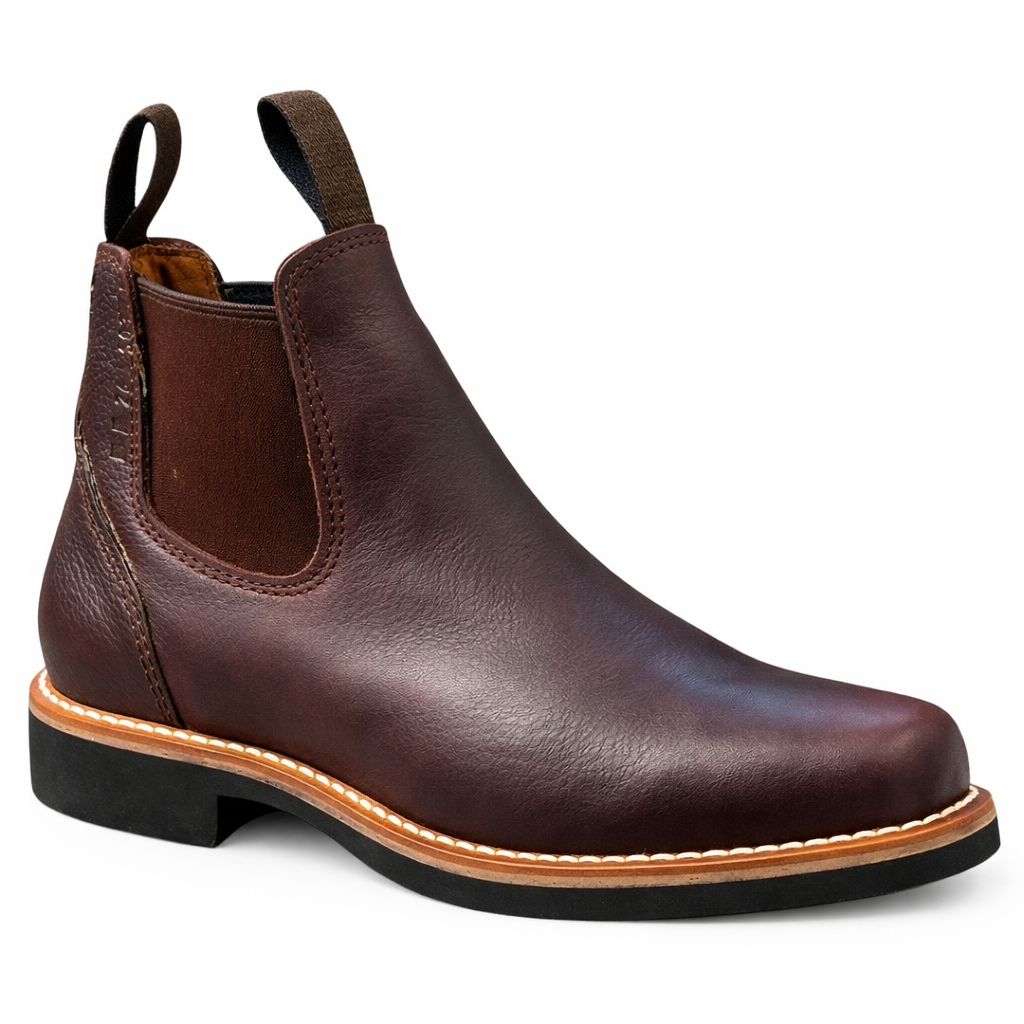 Ranger - 03