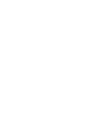 Distribuidora RG